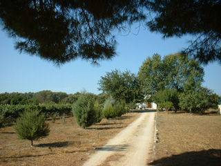 LA CORTE - CASA VACANZE