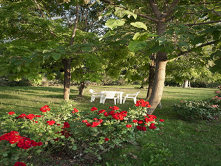 AGRITURISMO IL BRUGNOLO