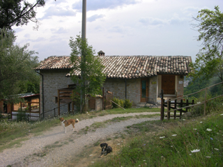 Struttura cani, gatti e animali ammessi