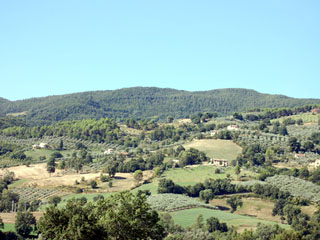 AGRITURISMO IL GERANIO