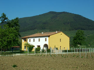 VILLA FIONA