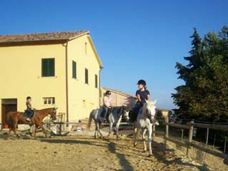 FATTORIA - B & B ZIAMELIA