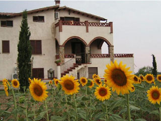 AGRITURISMO I GIRASOLI