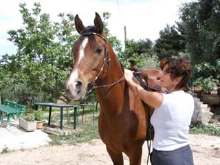 AGRITURISMO GENTILE