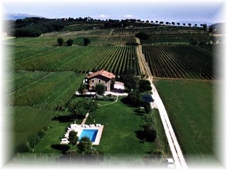 AGRITURISMO I MORI GELSI