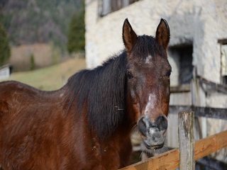 CHALET BEATRICE